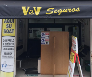 VyV Seguros